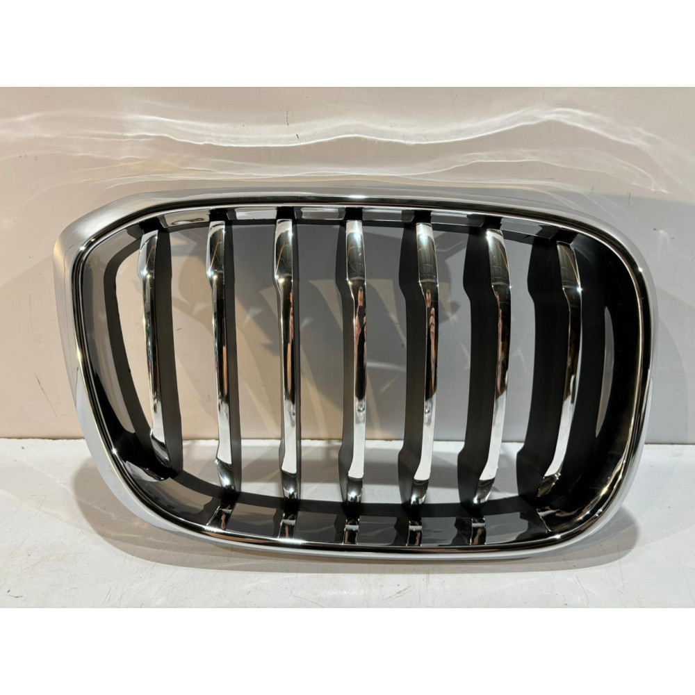 BMW X3 G01 / X4 G02 Grill / Nerka / Prawa - 14602