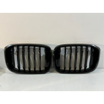 BMW X3 G01 / X4 G02 Grill / Nerka / Lewa - 14951