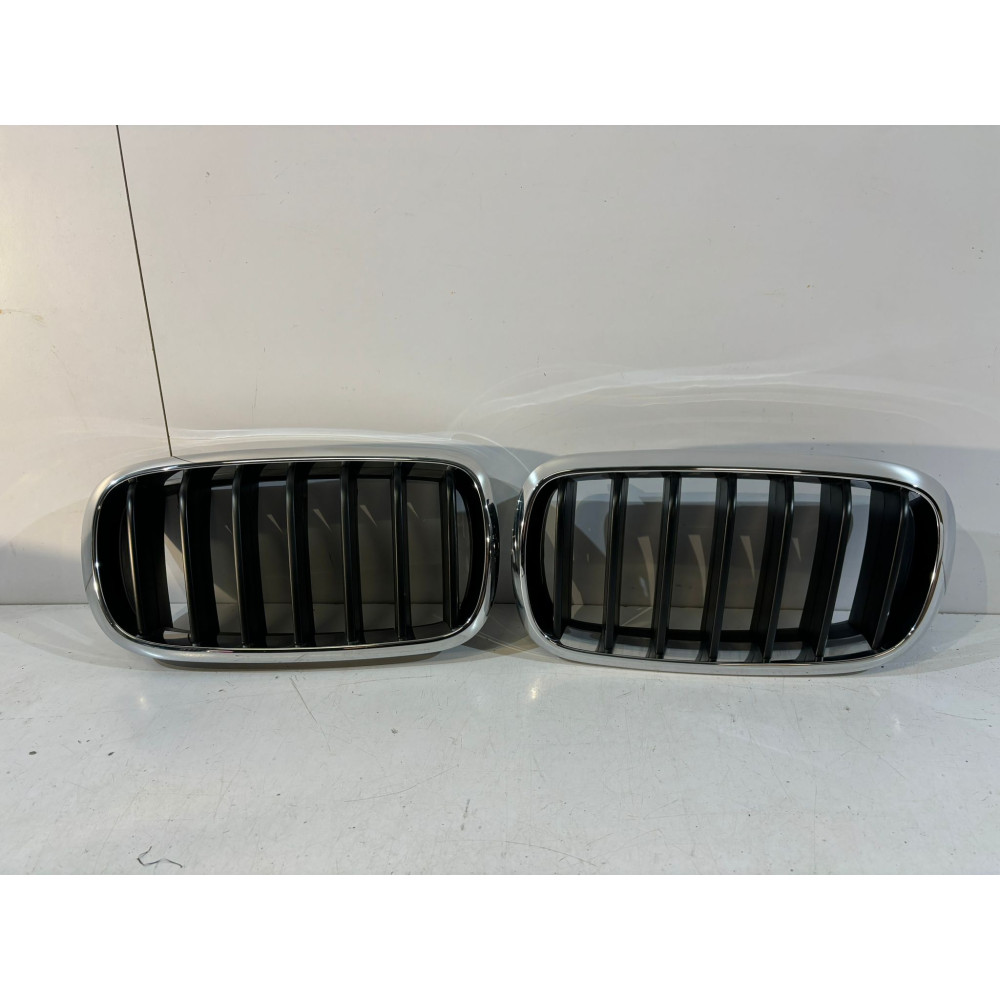 BMW X5 F15 Grill / Nerki...