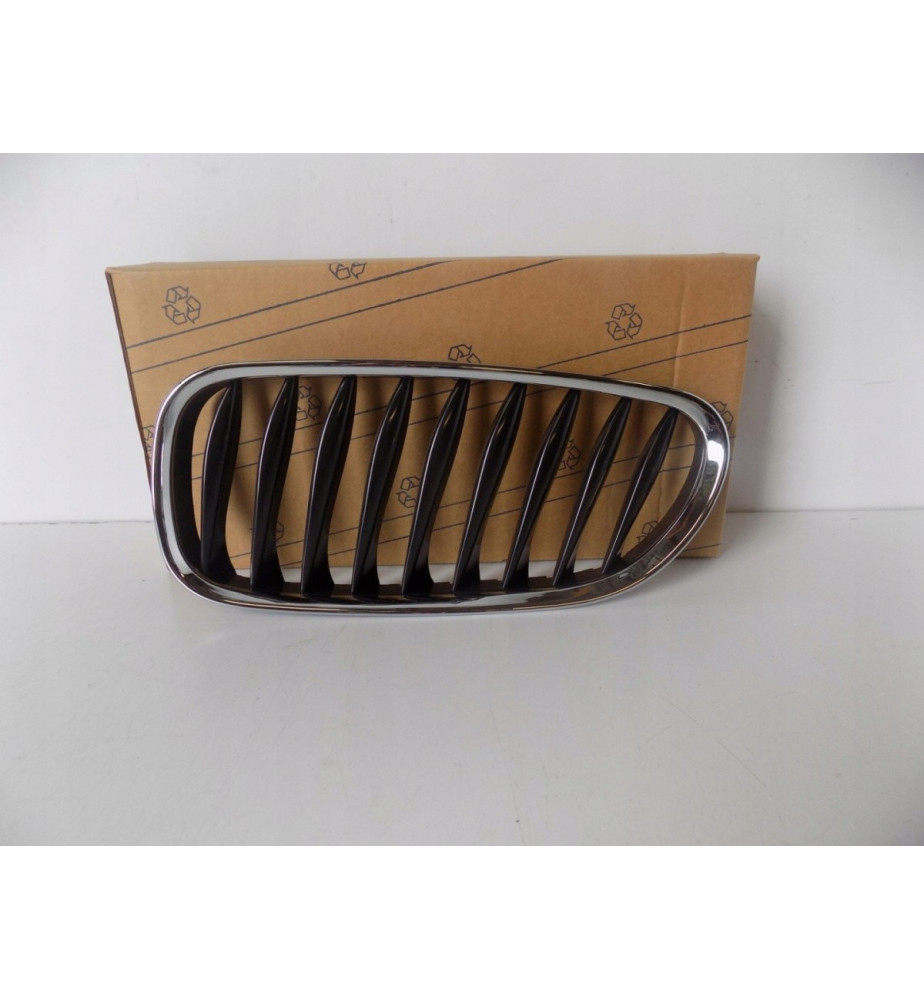 BMW Z4 E85/E86 Grill /...