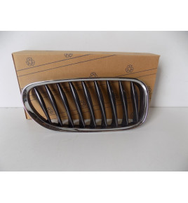 BMW Z4 E85/E86 Grill/Nerka...