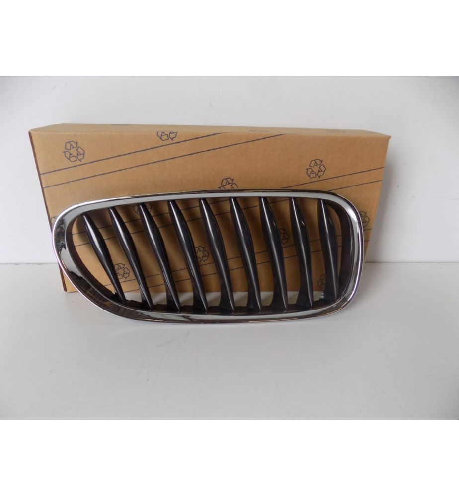 BMW Z4 E85/E86 Grill/Nerka...