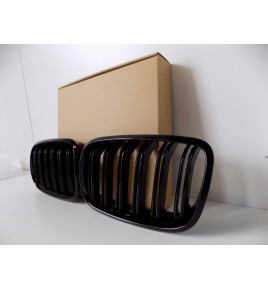 BMW X5 E70, BMW X6 E71 Grill / Nerka - 4119