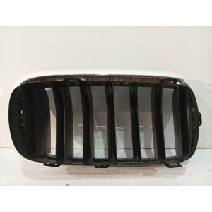 BMW X5 F15 Nerka / Grill / Atrapa chłodnic 7316075 - 18520