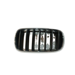 BMW X5 F15 Nerka / Grill / Atrapa chłodnic 7316075 - 18520