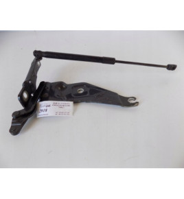 BMW X5 E70 BMW X6 E71 - Zawias Maski Lewy 2918