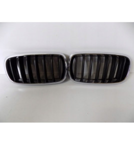 BMW X5 F15 Nerki / Grill Zderzaka - 3818