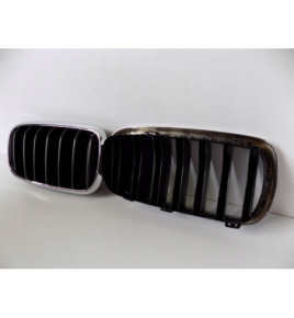 BMW X5 F15 Nerki / Grill Zderzaka - 3818